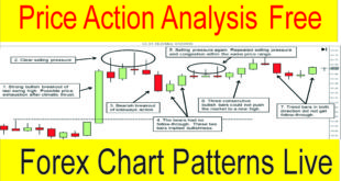 Live Forex Price Action Analysis Tani Forex Tutorial in Hindi Urdu