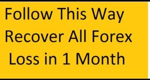 Recover Previous Loss Follow This Strategy In Urdu Hindi