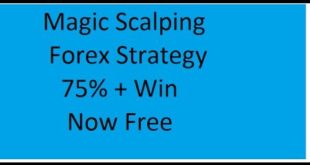 What Is scalping? Best Scalping Forex Strategy In Urdu Hindi by Tani Forex