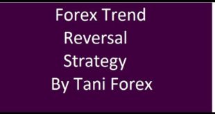 Forex Trend Scanner Forex Trend Reversal Strategy By Tani Forex in Urdu Hindi