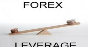 What is Leverage In Forex Trading Video In Urdu & Hindi