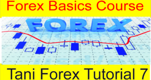 Forex Basics Course Archives Tani Forex - 