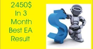 Best Hedging Forex EA 2450$ Profit In 3 Month Tani Live Account and Rebot Review In Urdu Hindi