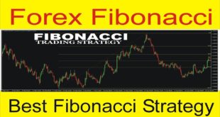 What is Fibonacci ! Fibonacci Forex Trading Strategies in Urdu and Hindi tutorial By Tani Forex