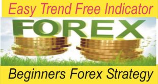 Simple Forex trading strategies for beginners ! Easy Trend Forex Trading Indicator By Tani Forex
