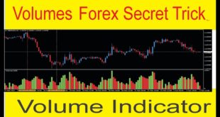 Forex Volumes Secret Strategy | Volume Trading Indicator Tutorial in Urdu and Hindi By Tani Forex