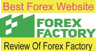 Review Of forexfactory.com | Best Forex Free website of the world Tani Forex Review in Urdu & Hindi