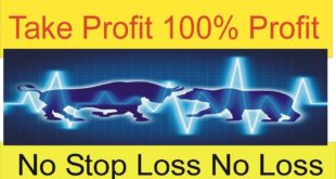 100% Win Best Forex Trading Secret GBP USD Strategy always in Profit By Tani Forex in Urdu And Hindi