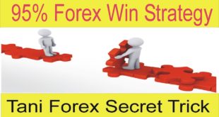5 Secret Things about Gap Forex Strategy | Result Of Tani Forex Gap Strategy In Hindi and Urdu