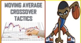 Moving Average Crossovers Forex Strategy ! Profitable Forex Trading Strategy in Urdu Hindi