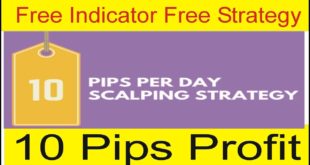 10 Pips Forex Trading Strategy With Free Indicator Free Trick In Urdu and Hindi By Tani Forex