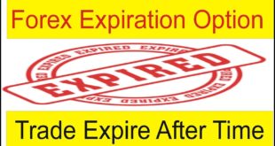 Forex Trade Expire After Time Forex MT4 Amazing Option For Pending Order in Urdu Hindi By Tani Forex