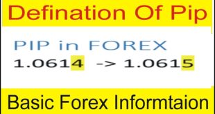 What Is Pip in Forex Trading ! Definition Of Pip Value and Calculator In Urdu & Hindi by Tani Forex