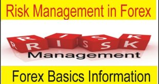 What is Risk Management in Forex Trading Business Basic Course In Urdu and Hindi By Tani Forex