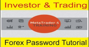 What Is Difference Between Investor And Trading Password New Tani Forex Tutorial in Urdu and Hindi