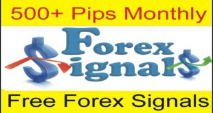 Tani Forex New Free Forex Signals Service Free 500 To 1000 Pips Monthly New Tutorial in Urdu Hindi