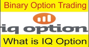 What is Binary Option? Definition of IQ Option New Tutorial in Urdu and Hindi by Tani Forex