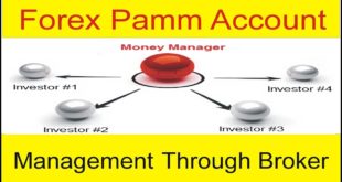 Forex Pamm Account Definition! Trading Management Service Through Broker Tani Forex Tutorial In Urdu