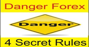 Four Forex Rules If You Dont Know Chance Of Your Loss TaniForex Urdu Hindi Tutorial