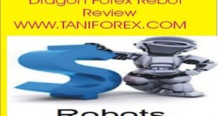 Dragon Expert Advisor Review Dragon Auto Trading Rebot Forex EA Information In Urdu Hindi Tani Forex