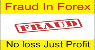Fraud in Trading | No Chance of Loss Just Profit Tani Forex New Tutorial in Urdu and Hindi