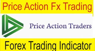 Price Action VS Forex trading indicator Forex basics information In Urdu by Tani Forex