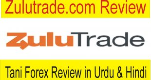 Zulutrade Auto Copy Trading Review by Tani Forex in Urdu
