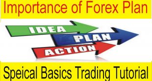 Importance of Plan in Forex Trading Business | Special Basics Tutorial by Tani Forex in Urdu & Hindi