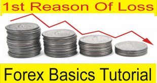 No 1 Reason of Loss in Forex Trading Special Tutorial For beginners