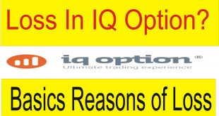 Reason Of Loss In IQ Option Trading