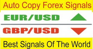 Auto Copy Best Forex Signals of The World | Copy Direct Live Trades Tani Forex Tutorial in Urdu