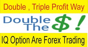 Double , Triple Profit Tutorial IQ Are Forex Best High Profit way