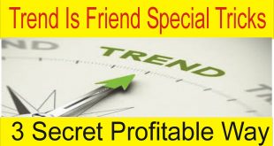 Trend is Friend Tricks | Tani Forex Special Tutorial in Urdu