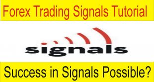 Success And Forex Trading Signals Tani Forex in Urdu