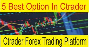 5 Best option in Ctrader Trading platform