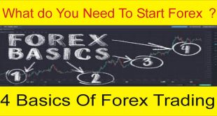 What do You Need To Start Forex Trading 4 Basics Of This Business