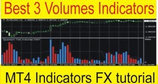 Best Top 3 MT4 Volume indicators  Tani Forex Trading indicator tutorial