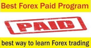 Best Forex Paid Program | What is the best way to learn Forex trading