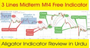 Midterm Best Forex MT4 Indicator Alligator Trading indicator review