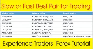 Experience and Beginners Traders Tutorial | Slow or Fast Best Pairs for trading
