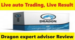 Dragon expert advisor live trading & Result Best auto trading tutorial