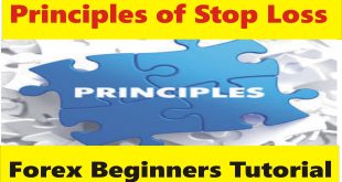 Principles of Stop Loss in Forex Trading Taniforex tutorial for beginners in Hindi and Urdu.