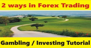 2 ways in Forex trading business | Gambling or Investing