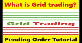 What is Grid trading? Pending order tutorial by Tani Forex in Urdu