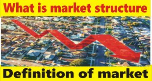 What is Markets structure, Definition of Market in Hindi and Urdu by Tani Forex.