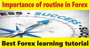 Importance of routine in Forex trading business