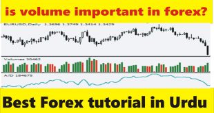 is volume important in Forex trading business? Taniforex tutorial