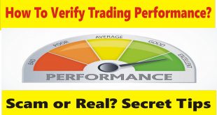 How To Verify Forex Trading Performance? Tani Forex scam avoid tutorial