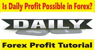 Is Daily profit possible in Forex Trading? Tani FX tutorial