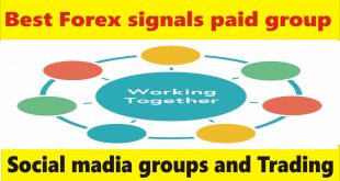 Best Forex signals paid group in the world, Tani fx trading tutorial for beginners